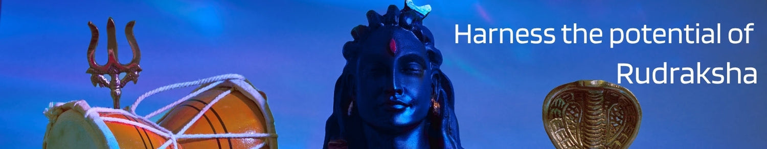 Rudraksha ( 1-14 Mukhi )