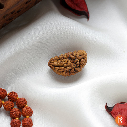 1 Mukhi Lab Certified Rudraksha