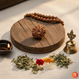 Nepal Origin 9 Mukhi Lab Certified Rudraksha - 17mm to 22mm Religious Bazar