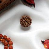 Nepal Origin 5 Mukhi Lab Certified Rudraksha - 18mm - 22mm Religious Bazar