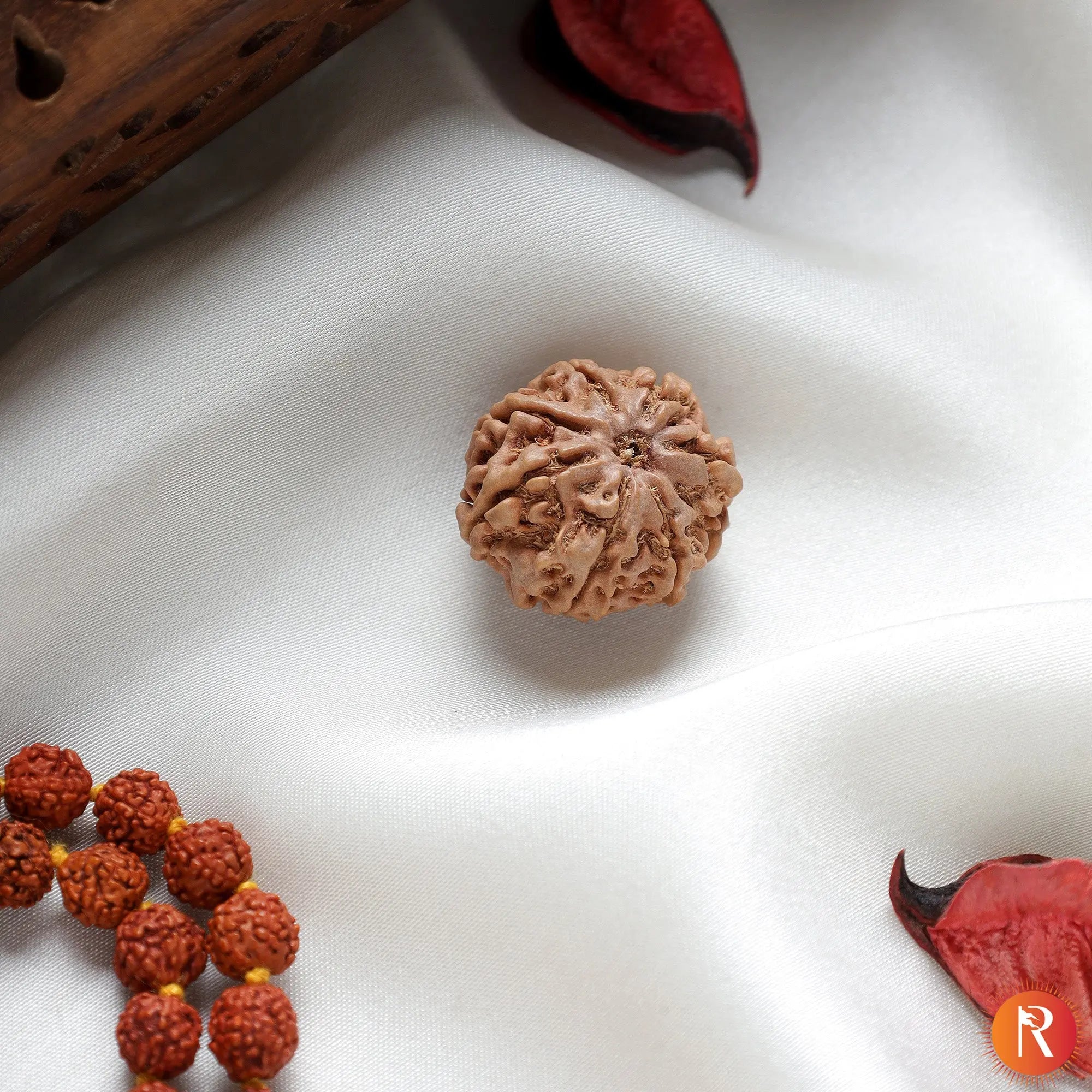 Nepal Origin 8 Mukhi Lab Certified Rudraksha - 17mm to 22mm Religious Bazar