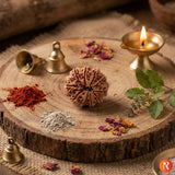 Nepal Origin 10 Mukhi Lab Certified Rudraksha - 17mm to 22mm Religious Bazar