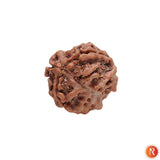 Nepal Origin 3 Mukhi Lab Certified Rudraksha - 18mm - 22mm Religious Bazar