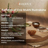 1 Mukhi Lab Certified Rudraksha Religious Bazar