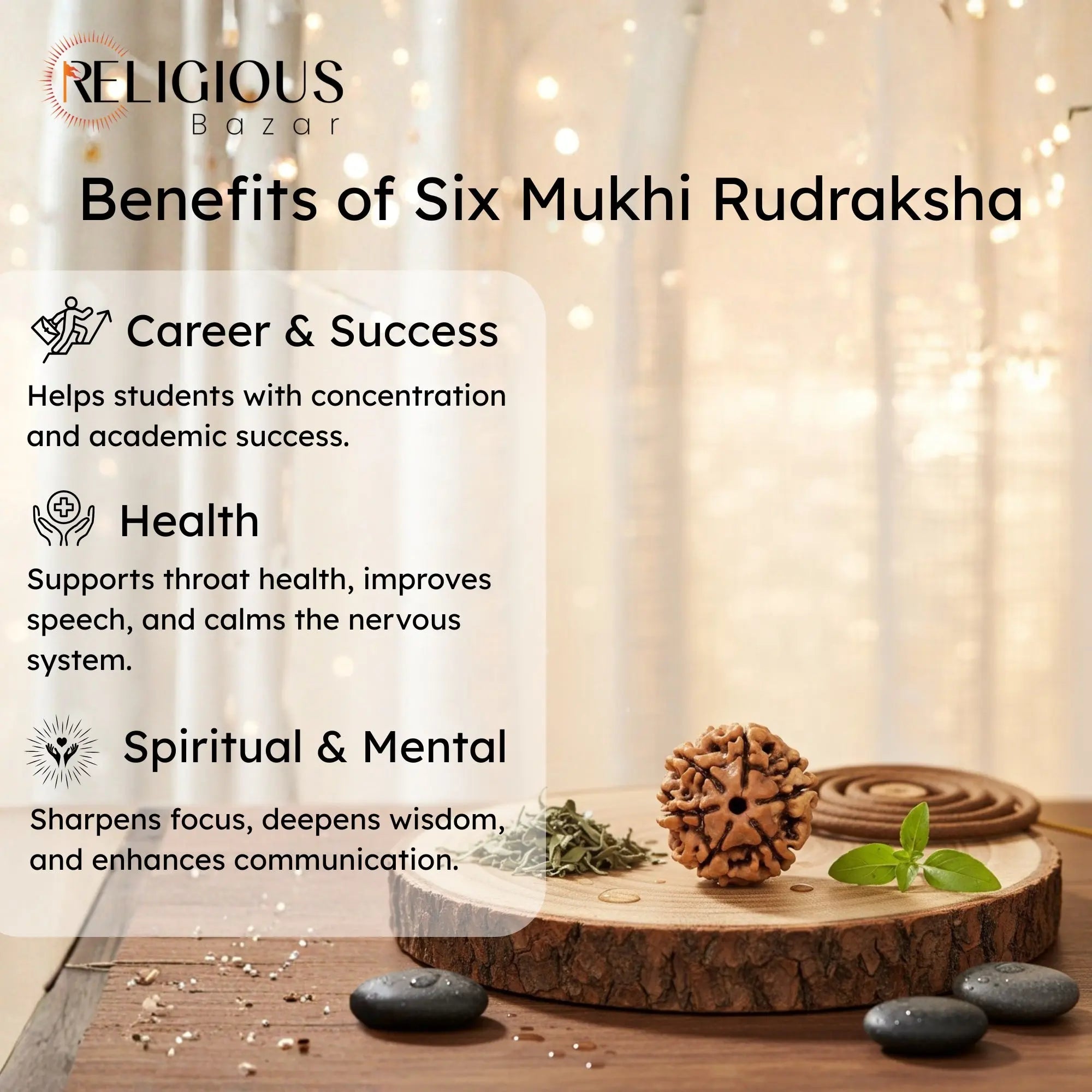 Nepal Origin 6 Mukhi Lab Certified Rudraksha - 18mm - 22mm Religious Bazar