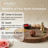 Nepal Origin 4 Mukhi Lab Certified Rudraksha - 18mm - 22mm Religious Bazar