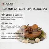 Nepal Origin 5 Mukhi Lab Certified Rudraksha - 18mm - 22mm Religious Bazar