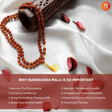 The Religious Bazar Authentic Panchmukhi Rudraksha Mala (108+1 Beads) for Japa & Wearing Religious Bazar