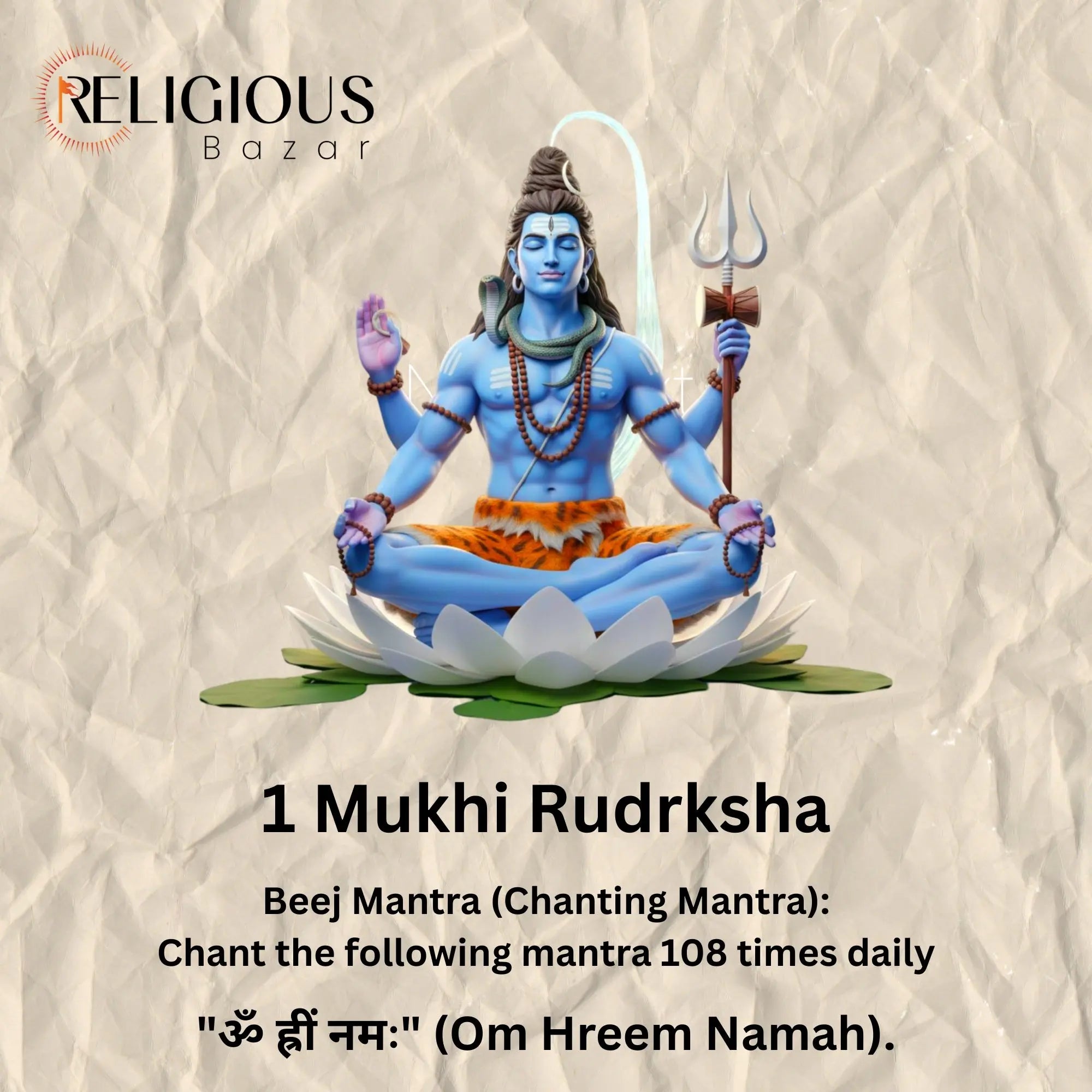 1 Mukhi Lab Certified Rudraksha Religious Bazar