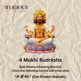 Nepal Origin 4 Mukhi Lab Certified Rudraksha - 18mm - 22mm Religious Bazar