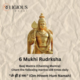 Nepal Origin 6 Mukhi Lab Certified Rudraksha - 18mm - 22mm Religious Bazar