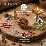 Nepal Origin 10 Mukhi Lab Certified Rudraksha - 17mm to 22mm Religious Bazar