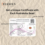 Nepal Origin 10 Mukhi Lab Certified Rudraksha - 17mm to 22mm Religious Bazar