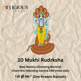 Nepal Origin 10 Mukhi Lab Certified Rudraksha - 17mm to 22mm Religious Bazar