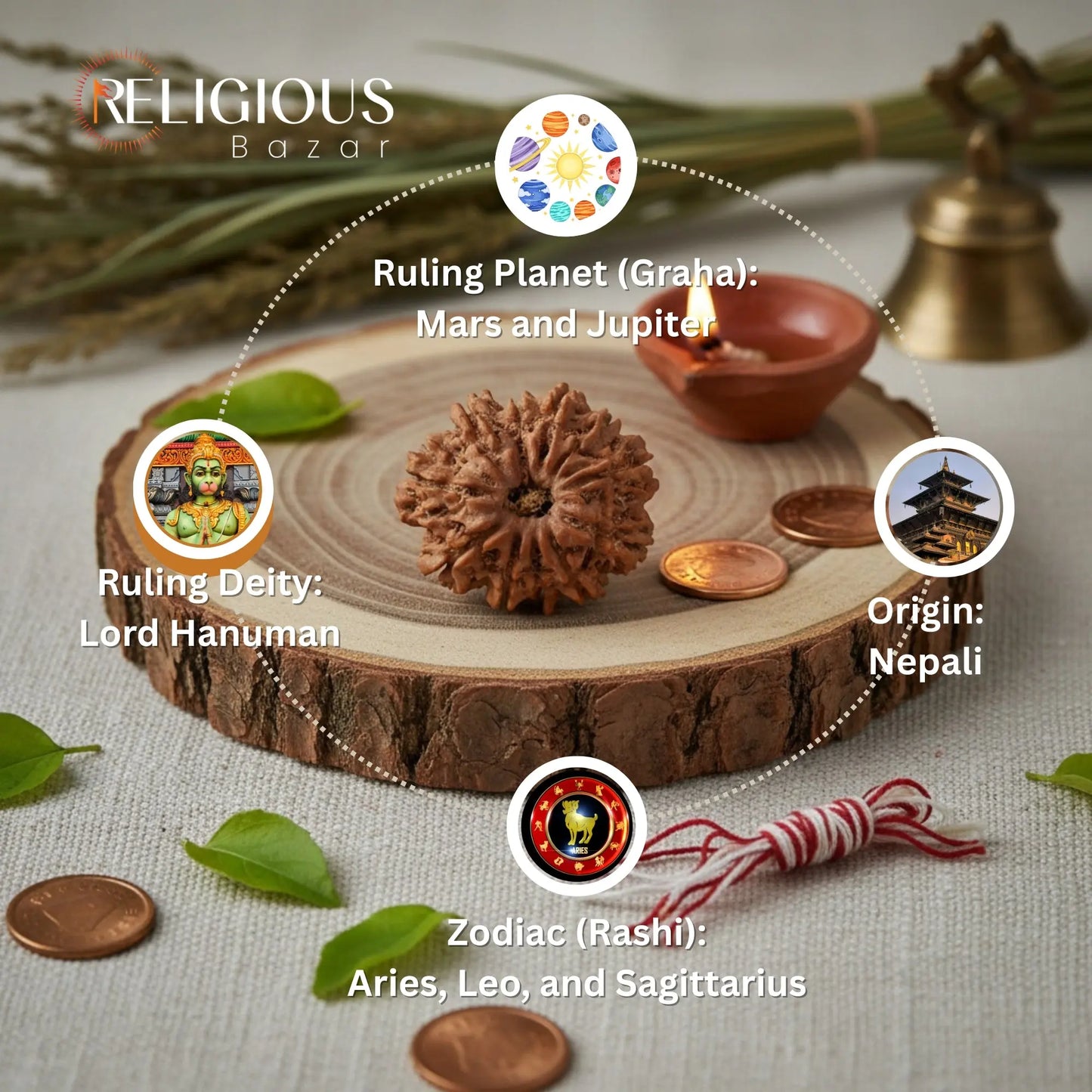 11 Mukhi Lab Certified Rudraksha