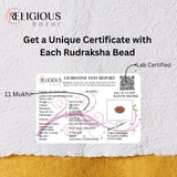 11 Mukhi Lab Certified Rudraksha