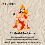 11 Mukhi Lab Certified Rudraksha