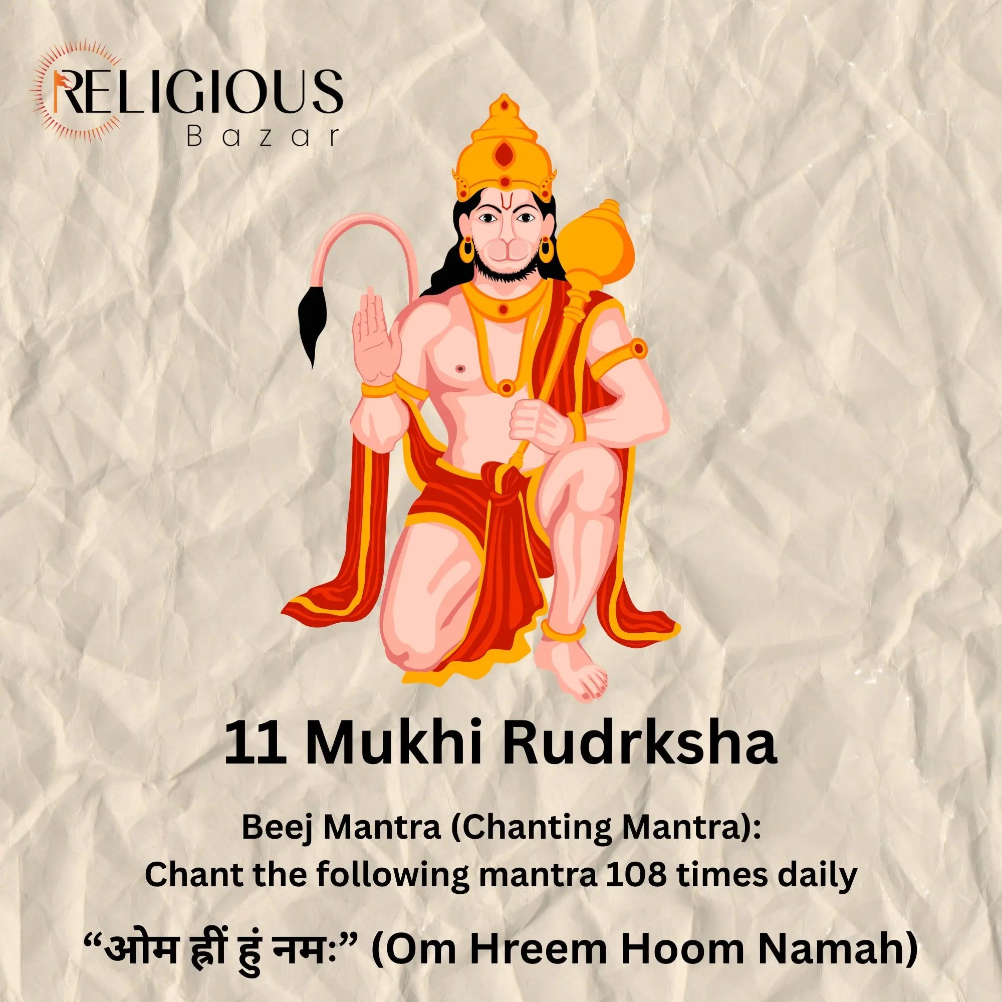 11 Mukhi Lab Certified Rudraksha