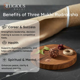 Nepal Origin 3 Mukhi Lab Certified Rudraksha - 18mm - 22mm Religious Bazar