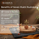 Nepal Origin 7 Mukhi Lab Certified Rudraksha - 18mm - 22mm Religious Bazar