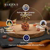 Nepal Origin 7 Mukhi Lab Certified Rudraksha - 18mm - 22mm Religious Bazar