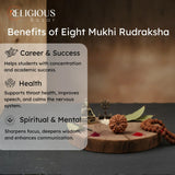 Nepal Origin 8 Mukhi Lab Certified Rudraksha - 17mm to 22mm Religious Bazar