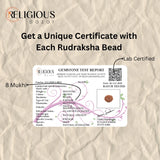Nepal Origin 8 Mukhi Lab Certified Rudraksha - 17mm to 22mm Religious Bazar