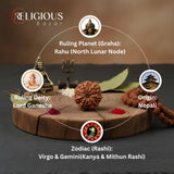 Nepal Origin 8 Mukhi Lab Certified Rudraksha - 17mm to 22mm Religious Bazar