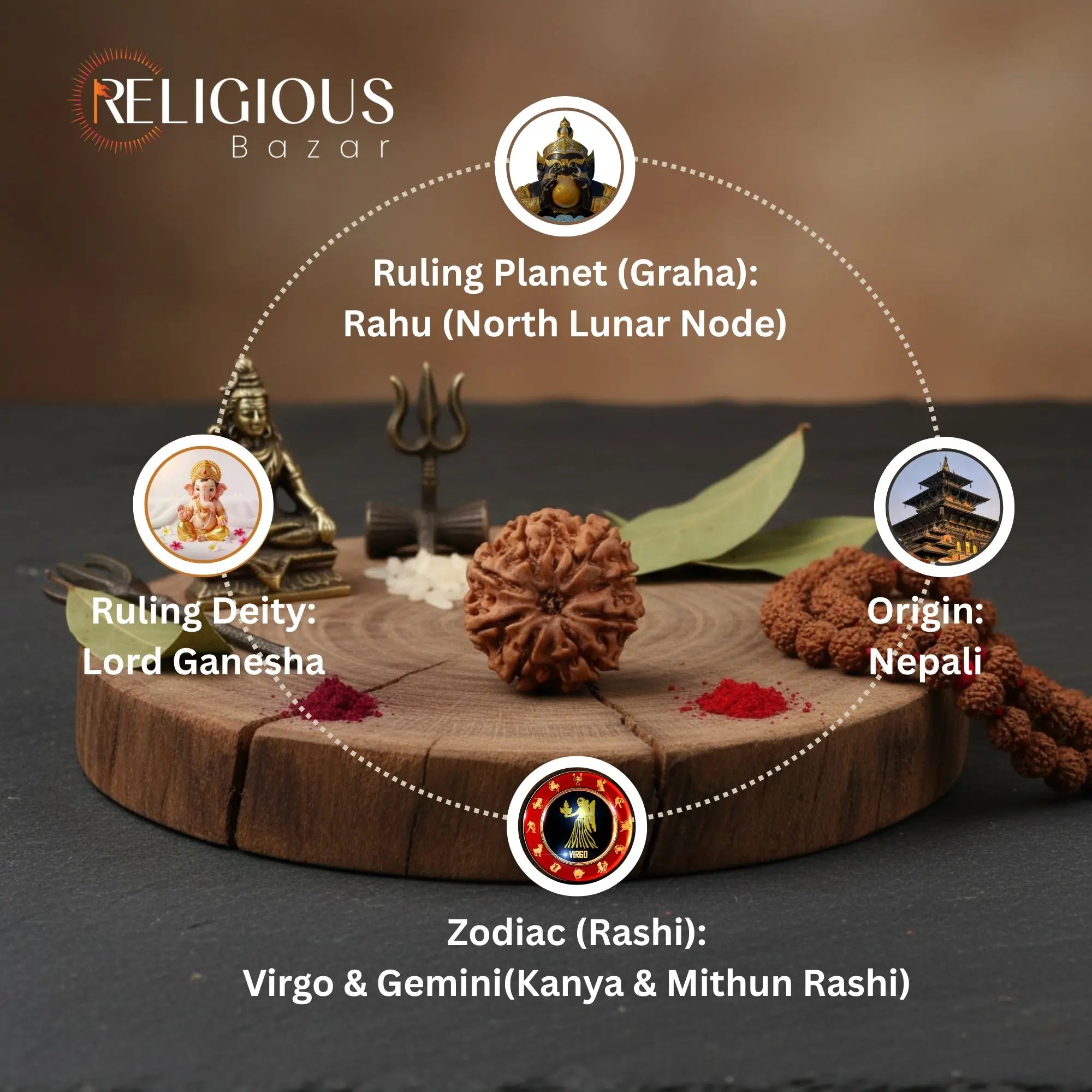 Nepal Origin 8 Mukhi Lab Certified Rudraksha - 17mm to 22mm Religious Bazar