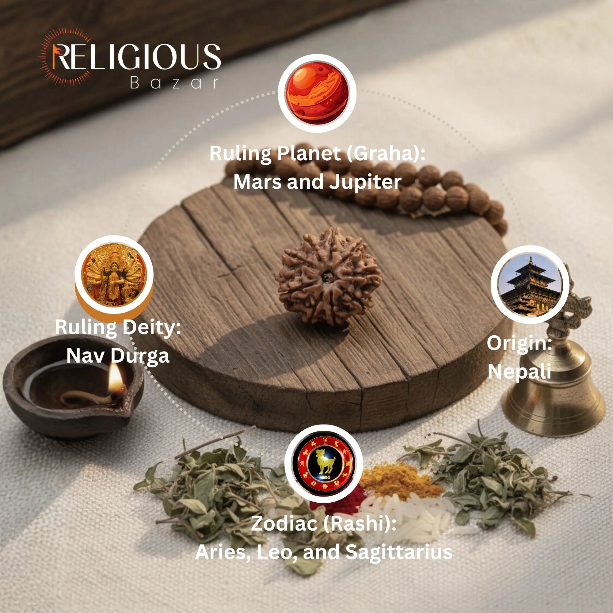 Nepal Origin 9 Mukhi Lab Certified Rudraksha - 17mm to 22mm Religious Bazar