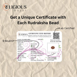Nepal Origin 9 Mukhi Lab Certified Rudraksha - 17mm to 22mm Religious Bazar