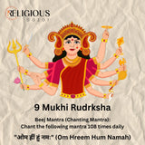 Nepal Origin 9 Mukhi Lab Certified Rudraksha - 17mm to 22mm Religious Bazar